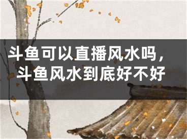 斗鱼可以直播风水吗，斗鱼风水到底好不好