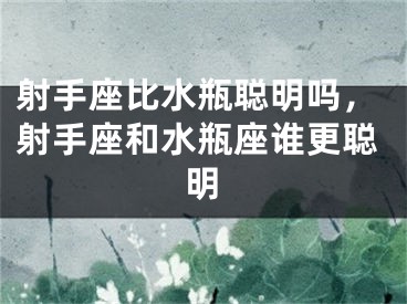 射手座比水瓶聪明吗，射手座和水瓶座谁更聪明