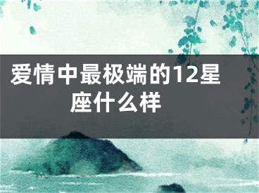 爱情中最极端的12星座什么样 