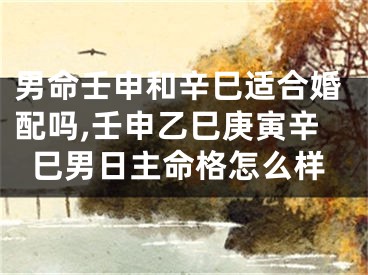 男命壬申和辛巳适合婚配吗,壬申乙巳庚寅辛巳男日主命格怎么样
