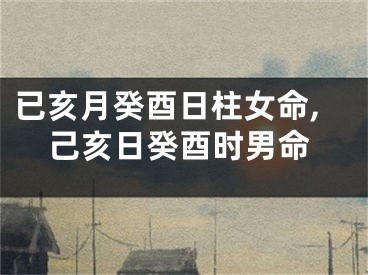 已亥月癸酉日柱女命,己亥日癸酉时男命