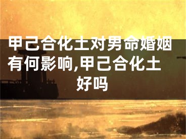甲己合化土对男命婚姻有何影响,甲己合化土好吗