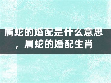 属蛇的婚配是什么意思，属蛇的婚配生肖