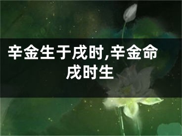 辛金生于戌时,辛金命戌时生