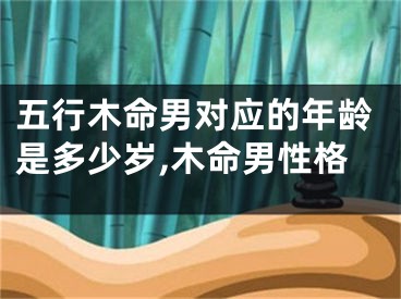 五行木命男对应的年龄是多少岁,木命男性格