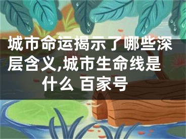 城市命运揭示了哪些深层含义,城市生命线是什么 百家号