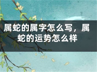 属蛇的属字怎么写，属蛇的运势怎么样
