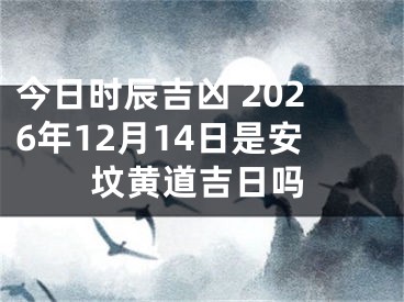 今日时辰吉凶 2026年12月14日是安坟黄道吉日吗