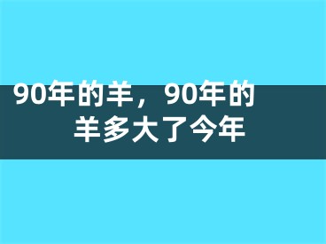 90年的羊，90年的羊多大了今年