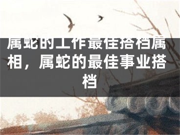 属蛇的工作最佳搭档属相,属蛇的最佳事业搭档