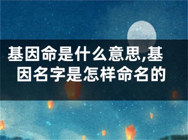 基因命是什么意思,基因名字是怎样命名的