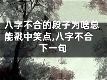 八字不合的段子为啥总能戳中笑点,八字不合下一句