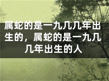 属蛇的是一九几几年出生的，属蛇的是一九几几年出生的人