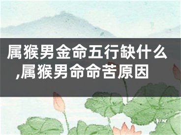 属猴男金命五行缺什么,属猴男命命苦原因