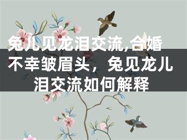 兔儿见龙泪交流,合婚不幸皱眉头，兔见龙儿泪交流如何解释