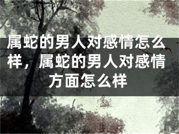 属蛇的男人对感情怎么样，属蛇的男人对感情方面怎么样