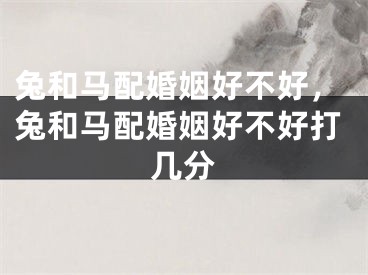 兔和马配婚姻好不好，兔和马配婚姻好不好打几分