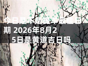 今日是不是提车最佳日期 2026年8月25日是黄道吉日吗