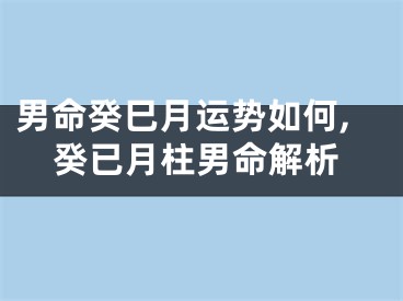 男命癸巳月运势如何,癸已月柱男命解析