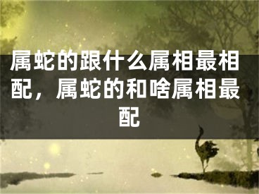 属蛇的跟什么属相最相配，属蛇的和啥属相最配
