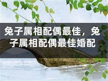 兔子属相配偶最佳，兔子属相配偶最佳婚配