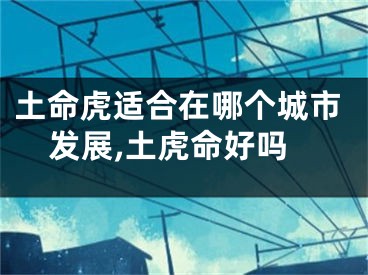 土命虎适合在哪个城市发展,土虎命好吗