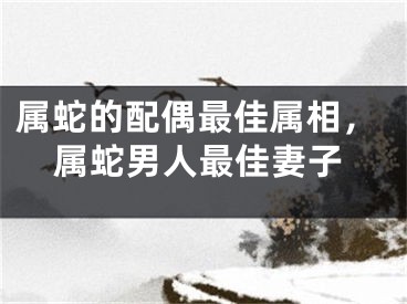属蛇的配偶最佳属相，属蛇男人最佳妻子