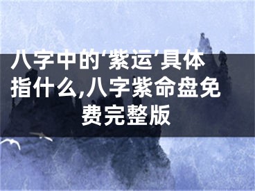 八字中的‘紫运’具体指什么,八字紫命盘免费完整版