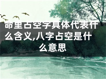 命里占空字具体代表什么含义,八字占空是什么意思
