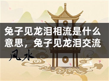 兔子见龙泪相流是什么意思，兔子见龙泪交流