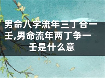 男命八字流年三丁合一壬,男命流年两丁争一壬是什么意