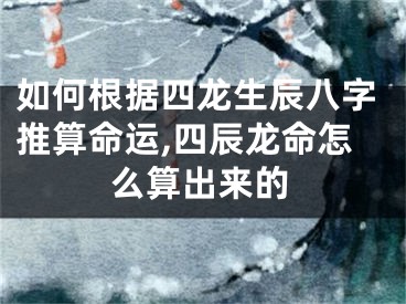 如何根据四龙生辰八字推算命运,四辰龙命怎么算出来的