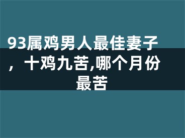 93属鸡男人最佳妻子,十鸡九苦,哪个月份最苦