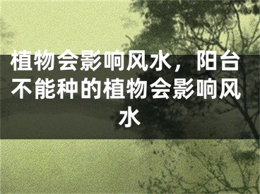 植物会影响风水，阳台不能种的植物会影响风水