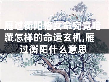 雁过衡阳格女命究竟暗藏怎样的命运玄机,雁过衡阳什么意思