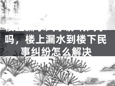 楼上漏水风水影响风水吗，楼上漏水到楼下民事纠纷怎么解决