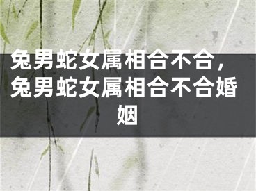 兔男蛇女属相合不合，兔男蛇女属相合不合婚姻