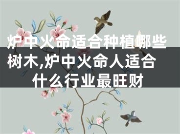 炉中火命适合种植哪些树木,炉中火命人适合什么行业最旺财