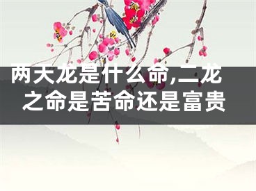 两天龙是什么命,二龙之命是苦命还是富贵