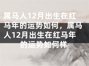 属马人12月出生在红马年的运势如何，属马人12月出生在红马年的运势如何样