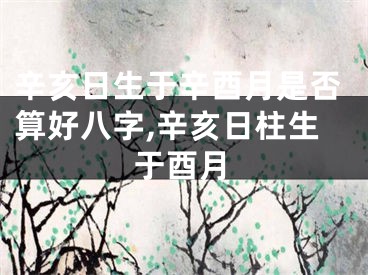 辛亥日生于辛酉月是否算好八字,辛亥日柱生于酉月