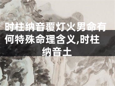 时柱纳音覆灯火男命有何特殊命理含义,时柱纳音土