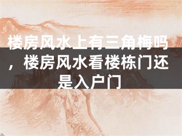 楼房风水上有三角梅吗，楼房风水看楼栋门还是入户门