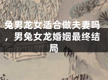 兔男龙女适合做夫妻吗，男兔女龙婚姻最终结局