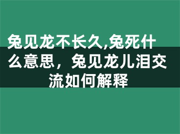 兔见龙不长久,兔死什么意思，兔见龙儿泪交流如何解释