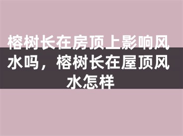 榕树长在房顶上影响风水吗，榕树长在屋顶风水怎样