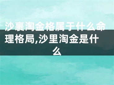 沙裹淘金格属于什么命理格局,沙里淘金是什么