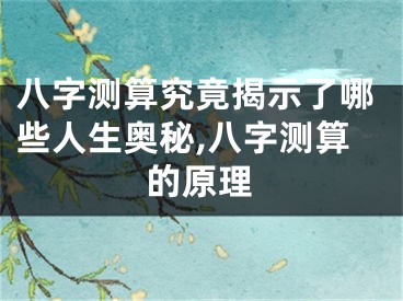 八字测算究竟揭示了哪些人生奥秘,八字测算的原理