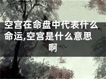 空宫在命盘中代表什么命运,空宫是什么意思啊