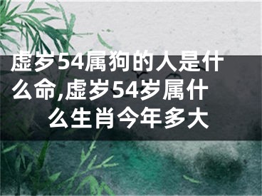 虚岁54属狗的人是什么命,虚岁54岁属什么生肖今年多大